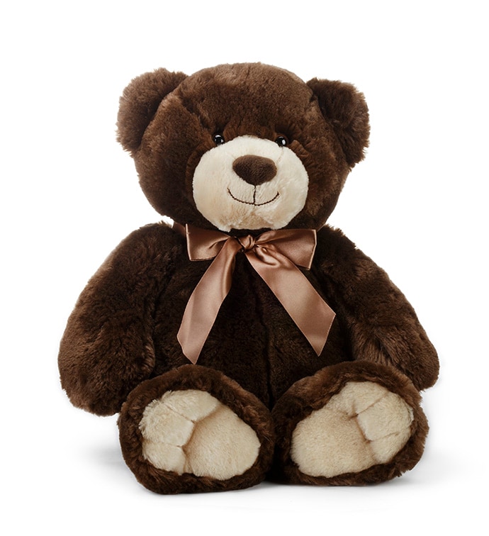 Plush Brown Bear 24